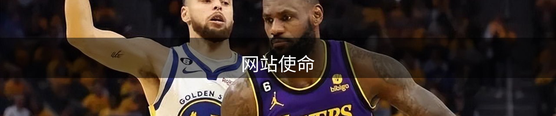 网站使命