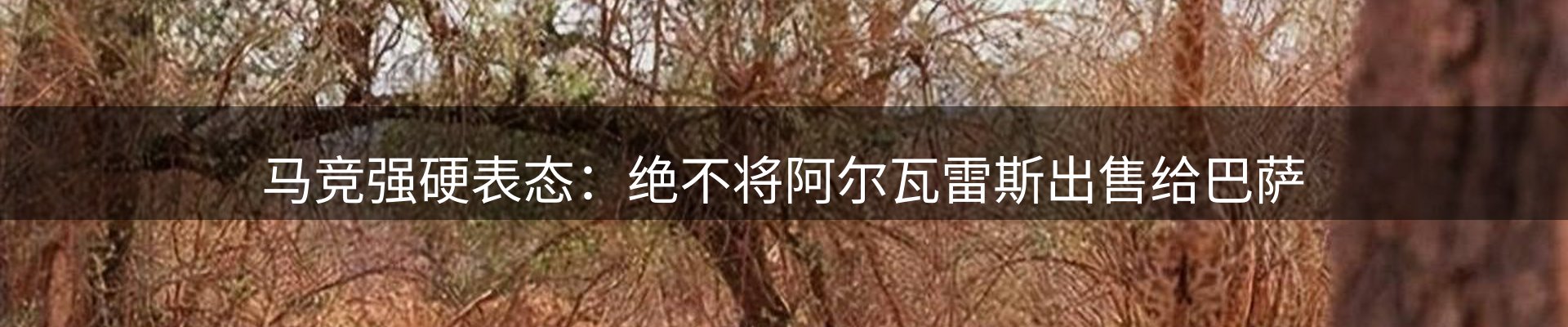 热点通报