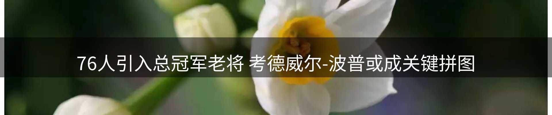 行业资讯